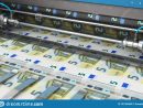 Impression De 5 Euro Billets De Banque D'argent Illustration tout Billet De 100 Euros À Imprimer