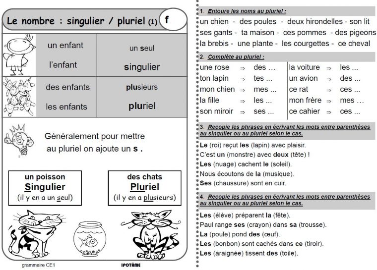 Ipotâme .tâme: Ce1 Grammaire Exercices Et Leçons pour Fiche Français Ce1 Imprimer