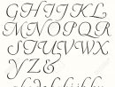 Italic Script Alphabet Capitals And Small Letters. Decorative.. pour Alphabet Script Minuscule