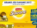 Jeu-Brossard.fr – Jeu Brossard Savane Un Rêve D'aventure serapportantà Jeux De Savane