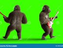 Jeu Brun Drôle De Gorille La Guitare Basse Fourrure Et avec Jeux De Gorille Gratuit