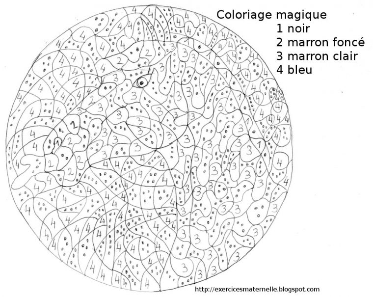 Jeu Cheval Coloriage Gratuit Sur Jeu  Coloriage En Ligne concernant Dessin De Cheval A Colorier