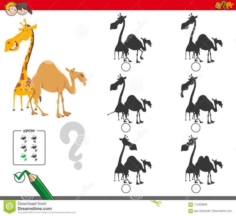 Jeu D'activité D'ombres Avec La Girafe Et Le Chameau concernant Jeux De Girafe Gratuit