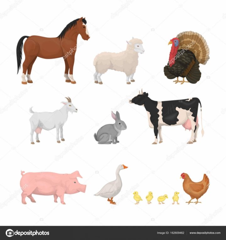 Jeu D'animaux De Ferme. — Image Vectorielle Inspiring.vector destiné Jeux D Animaux De La Ferme