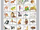 Jeu De Mémoire - Alphabet Et Animaux, Fait Au Québec à Jeux De Memory Pour Enfants