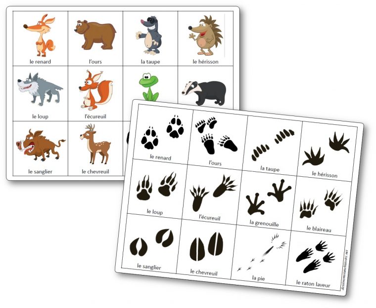 Jeu De Mémory Des Empreintes Des Animaux De La Forêt – Jeu serapportantà Les Animaux Domestiques En Maternelle