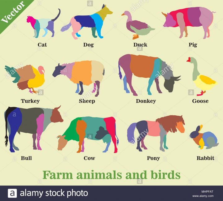 Jeu De Mosaïque Colorée Vecteur D'animaux De Ferme Et Les à Jeux Les Animaux De La Ferme