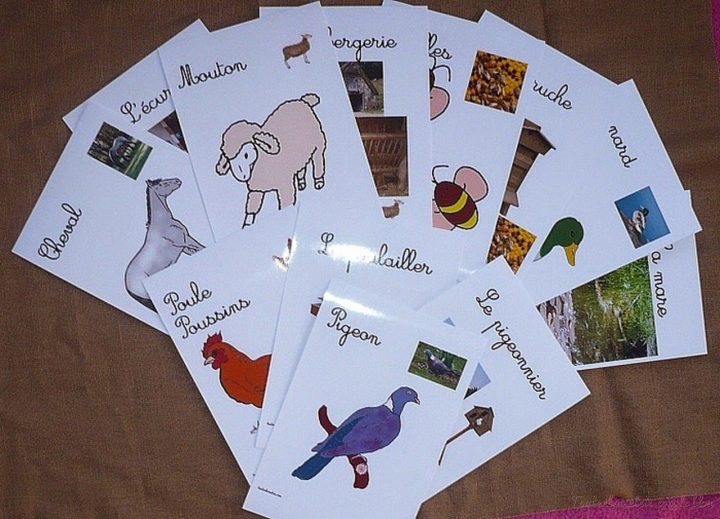 Jeu De Paires Diy Les Animaux De La Ferme Et Leur Habitat avec Jeux Les Animaux De La Ferme