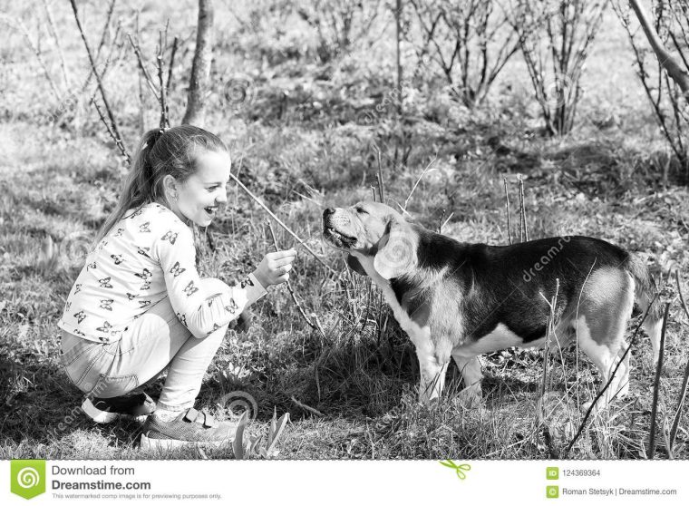 Jeu D'enfant Heureux Avec L'ami D'animal Familier Le Jour pour Jeux D Animaux Pour Fille