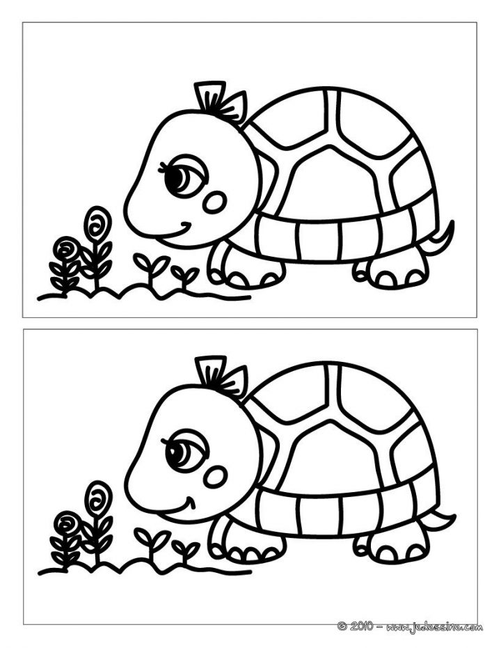 Jeu Des Différences : Tortue Fleur 5 Différences | Jeux Des avec Jeu De Difference Gratuit