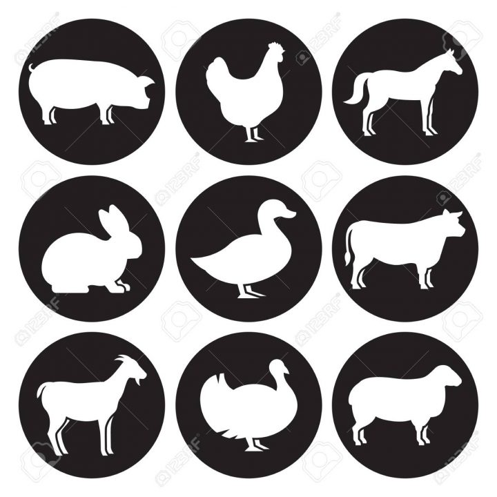 Jeu D'icônes De Silhouettes D'animaux De Ferme dedans Jeux D Animaux De La Ferme