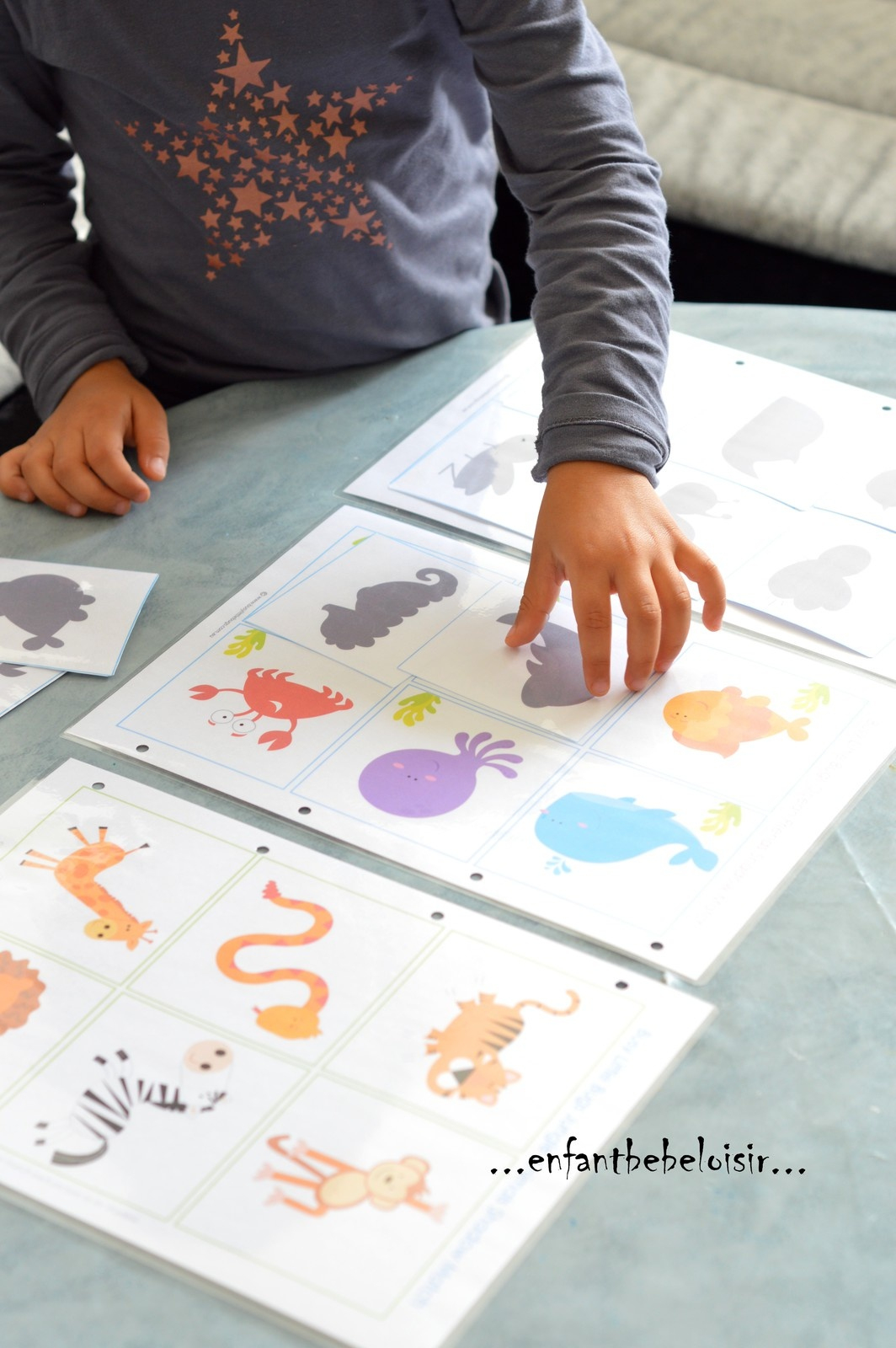 Jeu D'ombres À Imprimer Et Plastifier - Enfant Bébé Loisir dedans Jeux Educatif Maternelle Moyenne Section