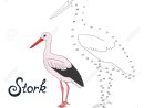 Jeu Éducatif Relier Les Points Pour Attirer La Cigogne Oiseau Doodle Animé  La Main Illustration Vectorielle Dessinée tout Jeux Relier Les Points