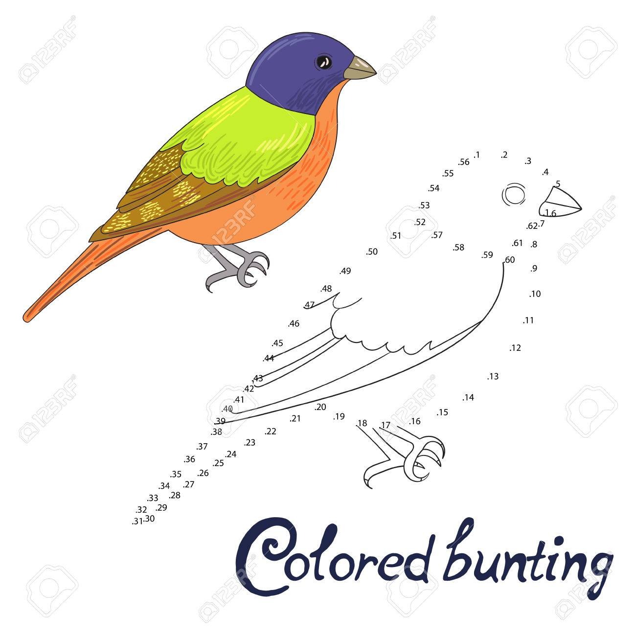 Jeu Éducatif Relier Les Points Pour Dessiner Le Bruant De Couleur Doodle De  Bande Dessinée D'oiseau Main Illustration Vectorielle Dessinée serapportantà Relier Les Points De 1 À 30