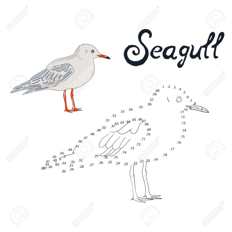 Jeu Éducatif Relier Les Points Pour Dessiner Oiseau Mouette Doodle Dessin  Animé Main Illustration Vectorielle Dessinée serapportantà Relier Les Points De 1 À 30