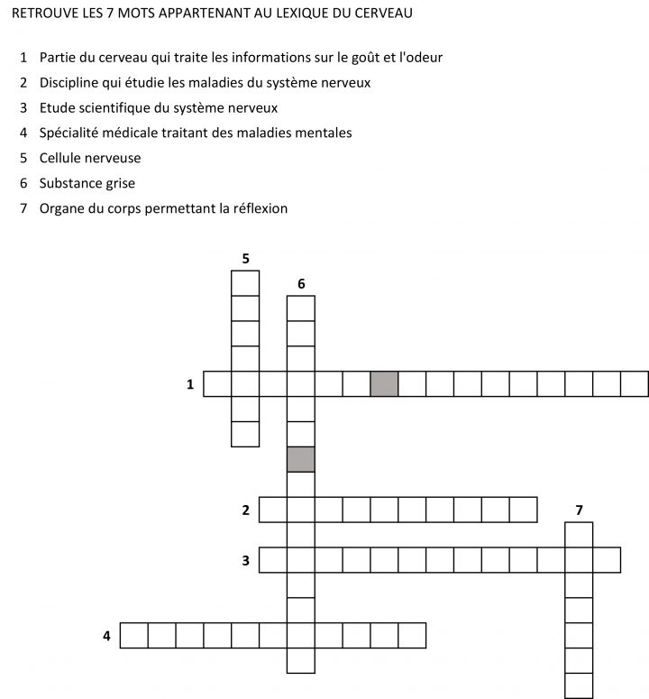 Jeu N°1 : Mots Croisés | Les Savanturiers Du Cerveau dedans Mots Croisés Cm2 À Imprimer