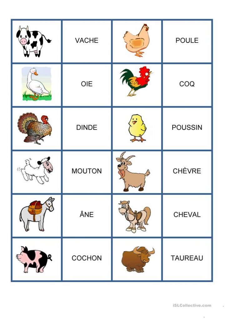 Animaux Sauvages Fiche D Exercices Fiches P Dagogiques Gratuites Fle