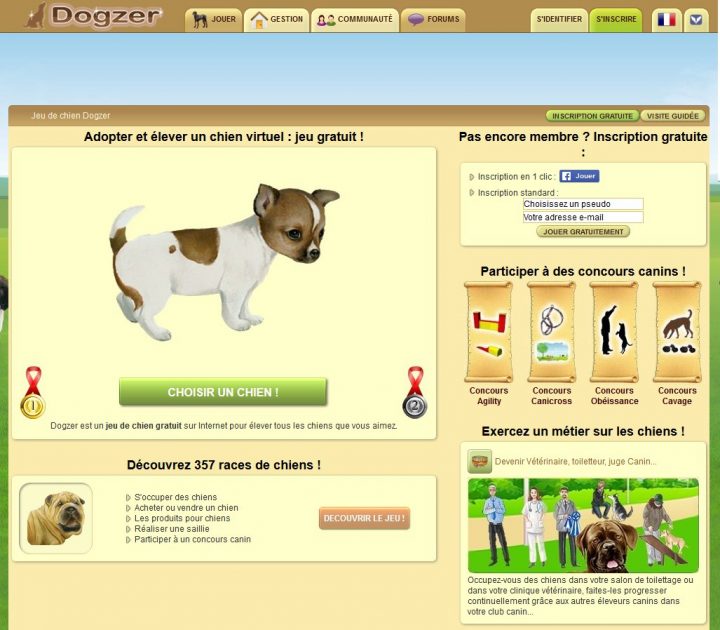 Jeux De Chien Virtuel Et De Chat À Adopter. dedans Jeux D Animaux Gratuit