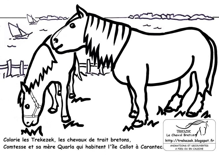 Jeux De Coloriage De Chevaux | Liberate destiné Jeux De Coloriage De Cheval