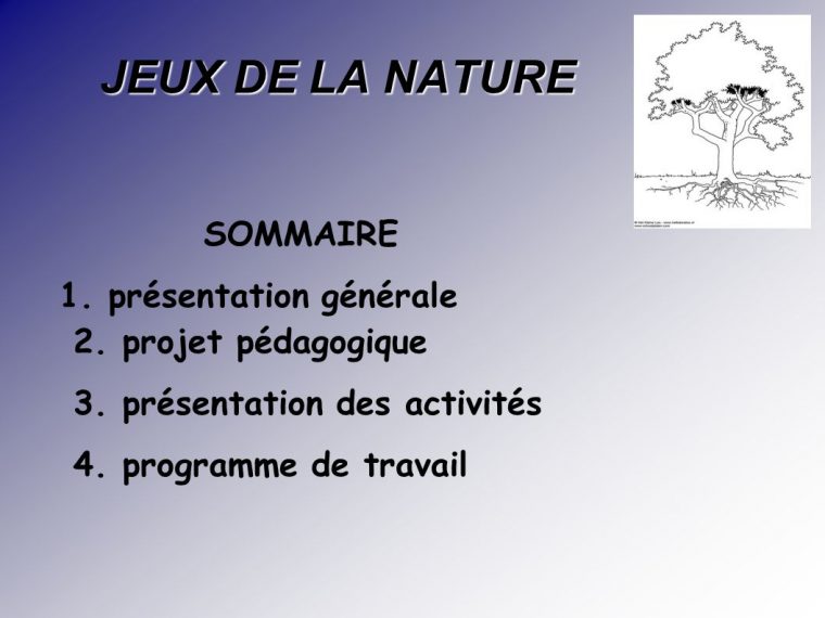 Jeux De La Nature Maternelle. – Ppt Video Online Télécharger concernant Jeux Pedagogique Maternelle