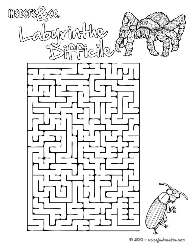 Jeux De Labyrinthe Difficile Insects&co – Fr.hellokids destiné Labyrinthe Difficile