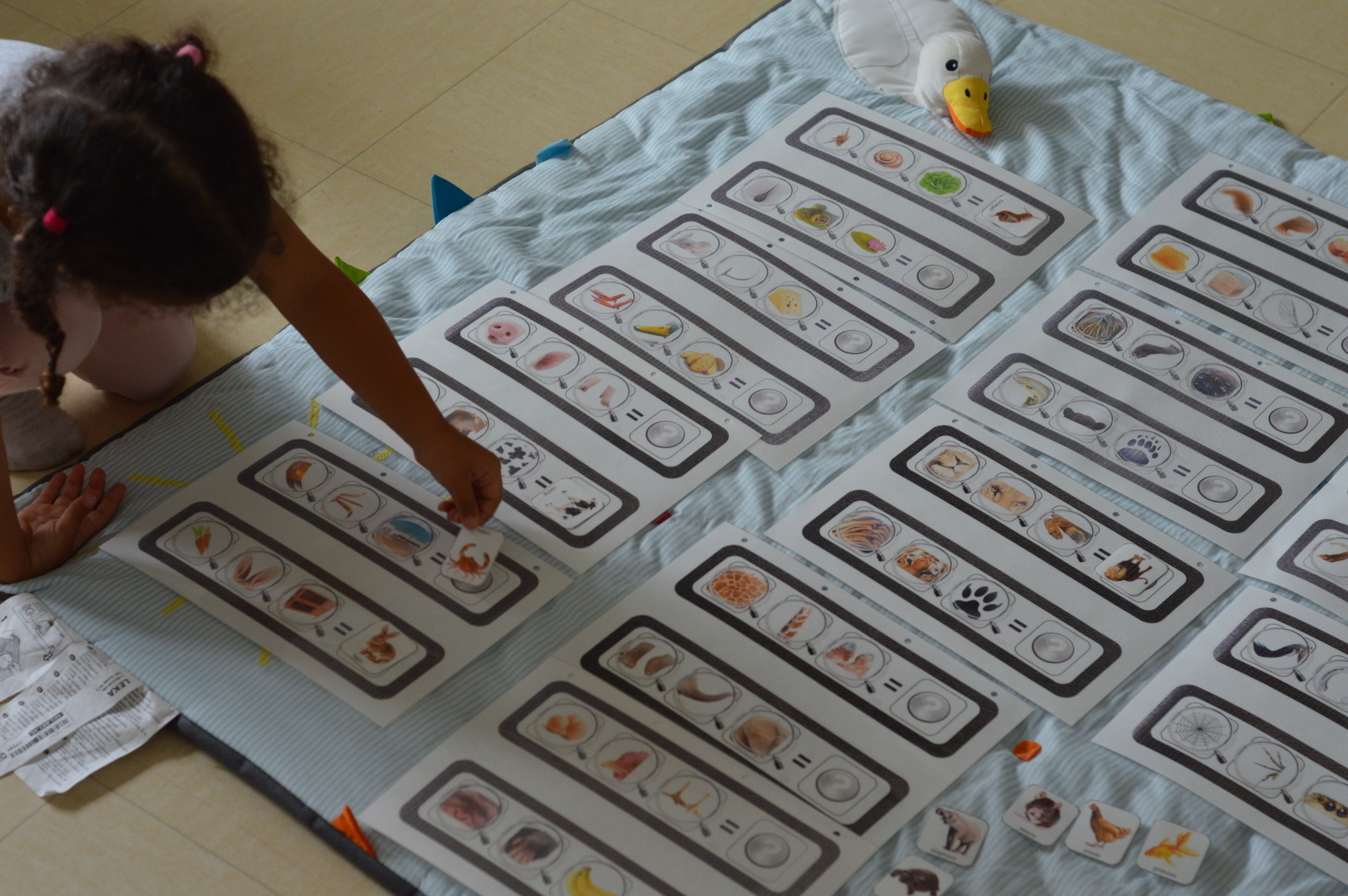 Jeux De Logique À Imprimer - Qui Suis-Je ? - Enfant Bébé Loisir à Jeux De Maternelle À Imprimer
