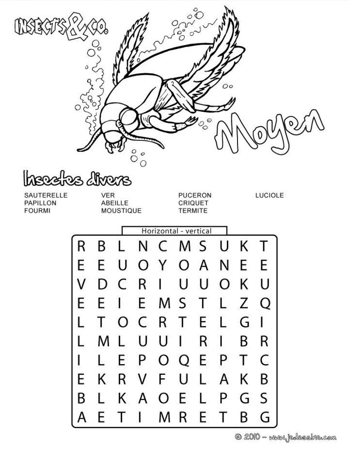 Jeux De Moyen : 15 Insectes Cachés – Fr.hellokids intérieur Jeux Des Mots Cachés