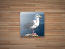 Jeux De Puzzle Oiseaux Gratuit Pour Android - Téléchargez L'apk tout Jeux De L Oiseau