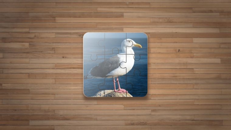 Jeux De Puzzle Oiseaux Gratuit Pour Android – Téléchargez L'apk tout Jeux De L Oiseau