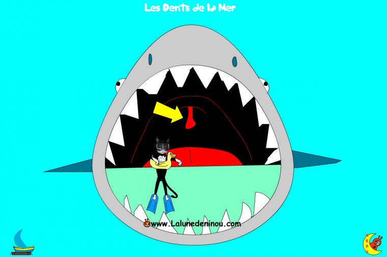 Jeux De Requins – Jeux Pour Enfants Sur Lalunedeninou – dedans Jeux Gratuit Requin Blanc