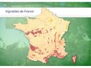 Jeux-Geographiques Jeux Gratuits Jeu Vignobles De France dedans Quiz Régions De France