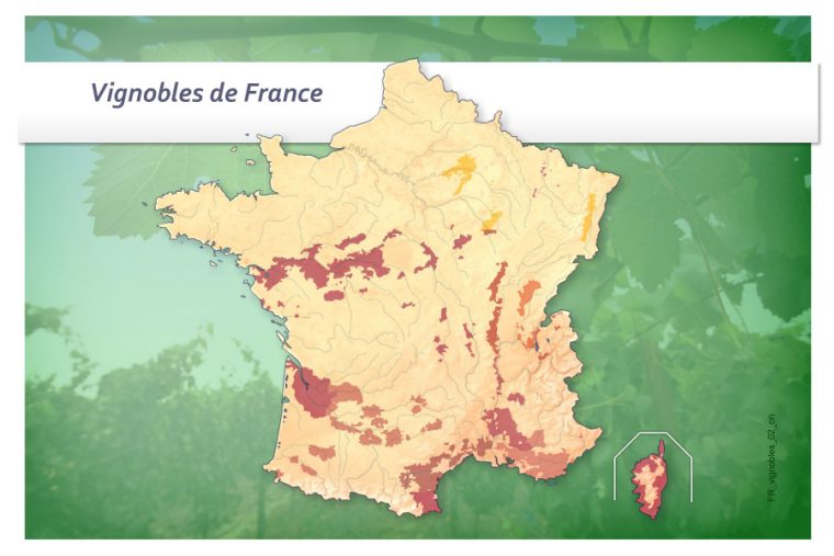 Jeux-Geographiques Jeux Gratuits Jeu Vignobles De France dedans Quiz Régions De France