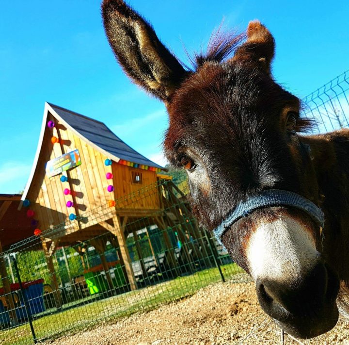 Jeux & Loisirs – Le Pré Des Pitchouns – Parc De Loisirs encequiconcerne Jeux D Animaux De La Ferme