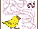 Jeux Oiseaux. Vector Illustration Du Jeu Mazelabyrinth Avec L'oiseau Mignon  De Bande Dessinée Pour Les Enfants à Jeux De L Oiseau