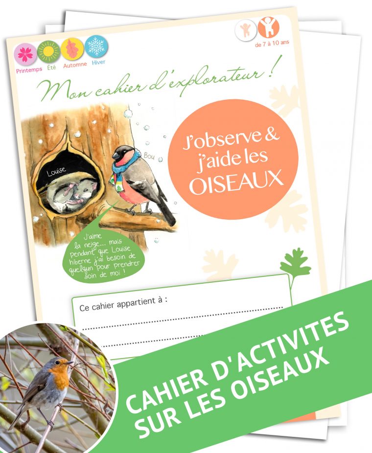 J'observe Et J'aide Les Oiseaux / 3-6 Ans Et 7-10 Ans dedans Jeux De L Oiseau