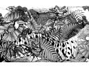 Jungle Animaux - Caméléons Et Lézards - Coloriages tout Dessin Noir Et Blanc Animaux