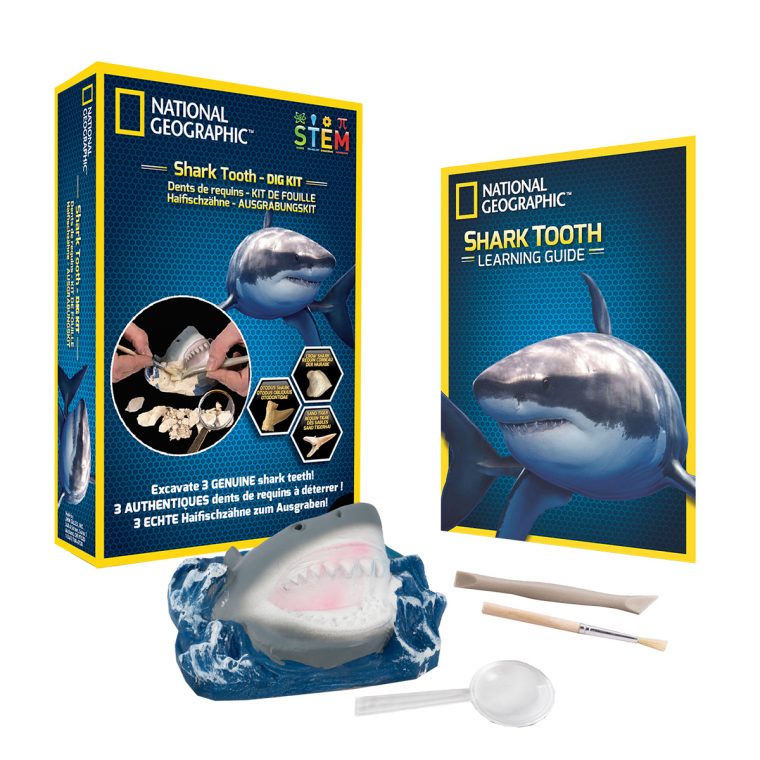 Kit De Fouille Dents De Requins tout Jeu De Societe Requin