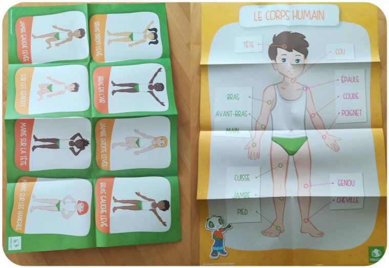 Kit Pandacraft : Corps Humain – La Classe De Marybop à Le Corps Humain En Maternelle