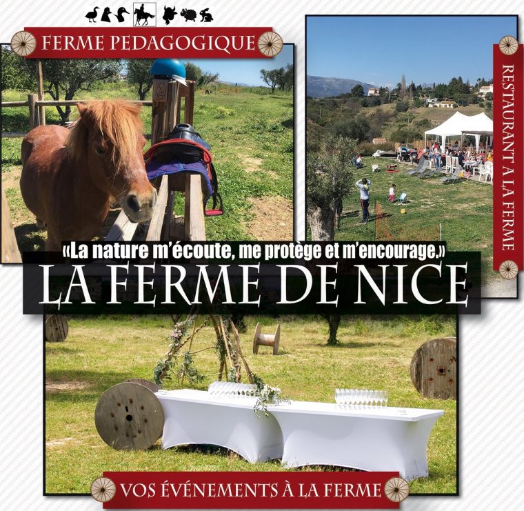 La Ferme De Nice : Cuisine Maison Et Espaces Famille serapportantà Jeux De Ferme Gratuit Avec Des Animaux