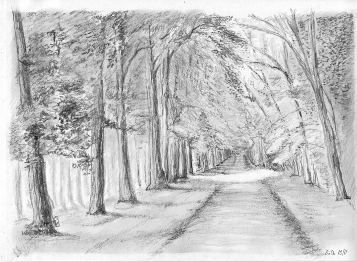 La Forêt avec Dessin De Foret