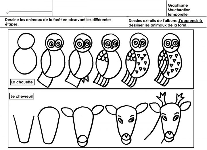 La Forêt, Dessin Illustratif D'animaux – École Maternelle Gellow avec Dessin De Foret