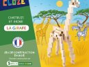 La Girafe, - Gamme Les Aventures | Cloze - Fabricant De Jeux tout Jeux De Girafe Gratuit