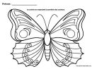 La Symétrie En Maternelle | Coloriage Papillon, Papillon À encequiconcerne Symétrie A Imprimer
