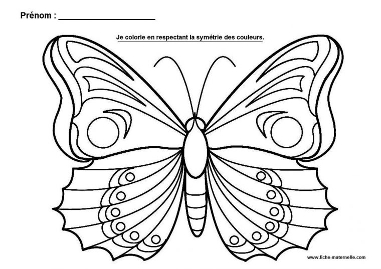 La Symétrie En Maternelle | Coloriage Papillon, Papillon À encequiconcerne Symétrie A Imprimer