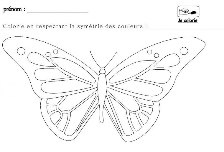 La Symétrie En Maternelle Pour Grande Section | Grande tout Dessin Symétrique A Imprimer