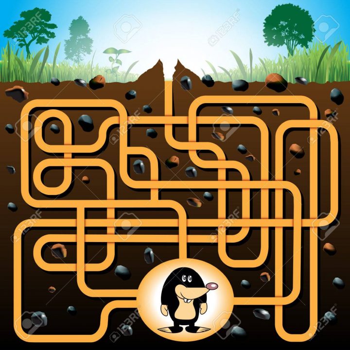 Labyrinthe Éducation Ou Jeu De Labyrinthe Pour Les Enfants D'âge  Préscolaire Avec Taupe Drôle. Vector Illustration dedans Jeu De La Taupe