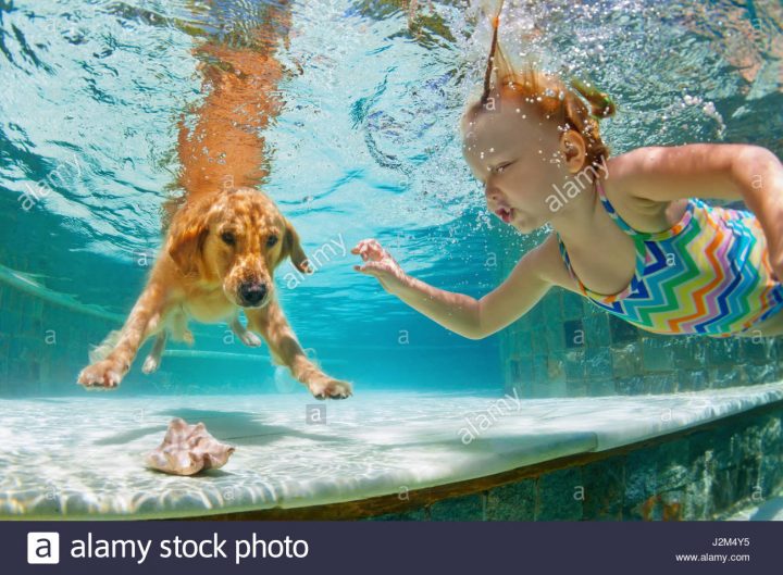 L'action Sous-Marine. Smiley Enfant Jouer Avec Plaisir, De serapportantà Jeux De Saut Dans L Eau