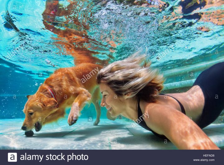 L'action Sous-Marine. Smiley Femme Jouer Avec Plaisir, De concernant Jeux De Saut Dans L Eau