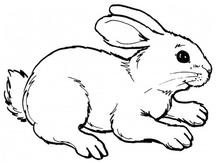 Lapin #8 (Animaux) – Coloriages À Imprimer encequiconcerne Dessin De Lapin A Imprimer