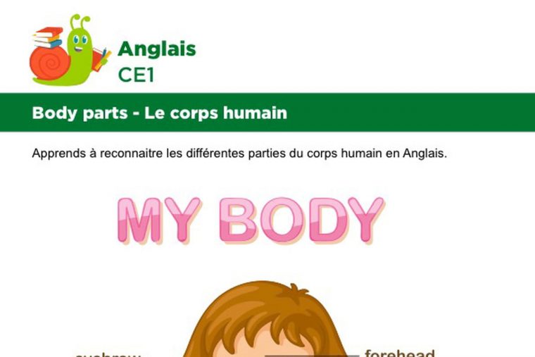 Le Corps En Anglais, Fillette Vue De Face intérieur Le Corps Humain En Maternelle